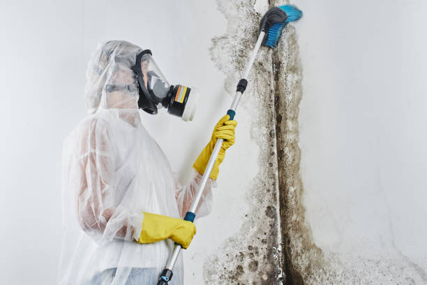 Water Damage Restoration in Lake Geneva, WI