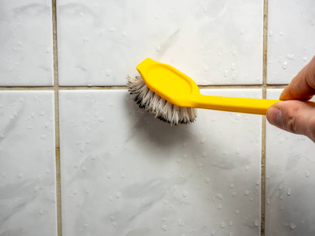 Professional Mold Removal in Lake Geneva, WI