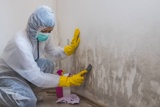 Best Crawl Space Mold Removal  in Lake Geneva, WI