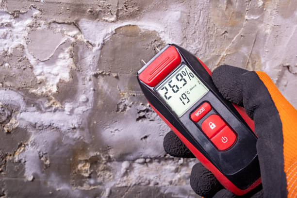 Mold Removal and Inspection in Lake Geneva, WI